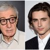 New Woody Allen Film 'Shelved Indefinitely' By Amazon Studios